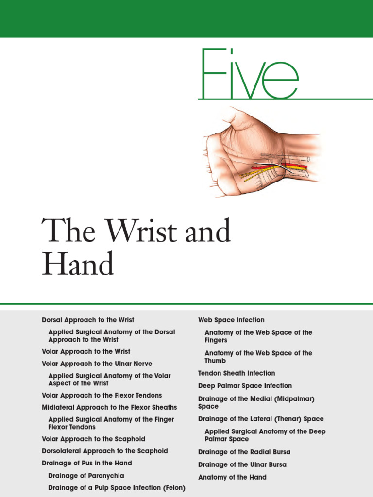 Surgical Approaches to Wrist and Hand | PDF | Thumb | Hand
