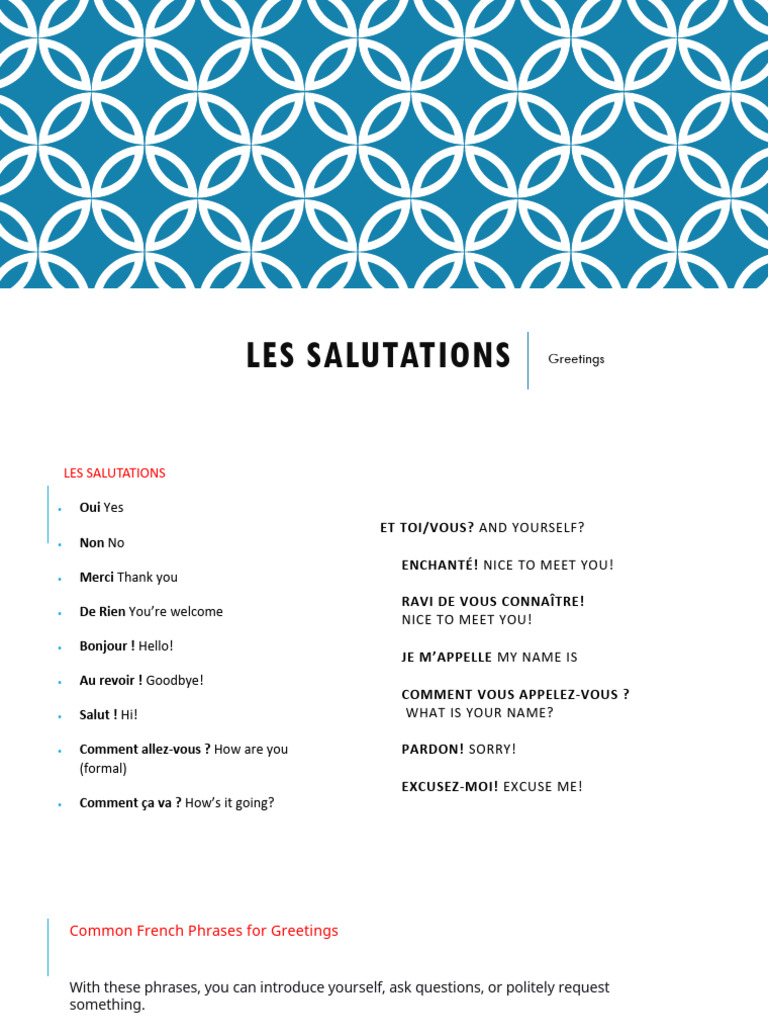 Basic Phrases in French | PDF