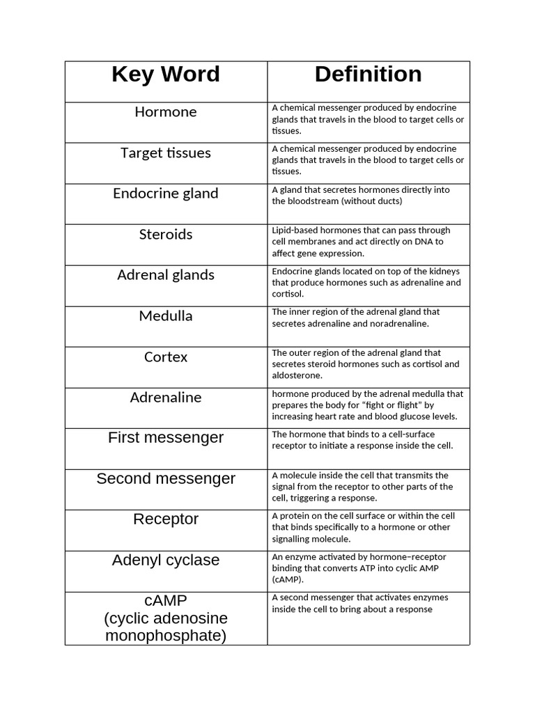 Hormones and Their Functions Explained | PDF | Pancreas | Hormone