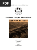Os Cursos De Água Internacionais - O Caso do Rio Douro