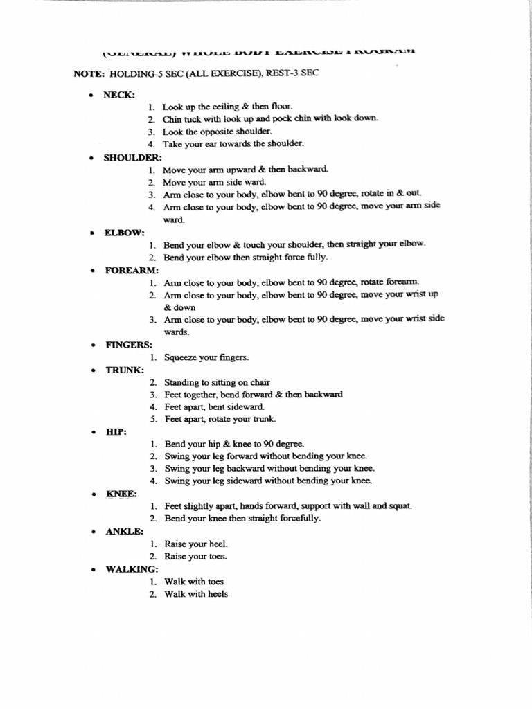 Body Exercises | PDF