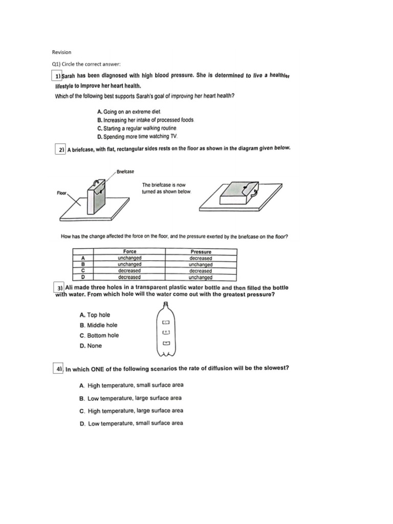 Paper Practice Class 7 | PDF
