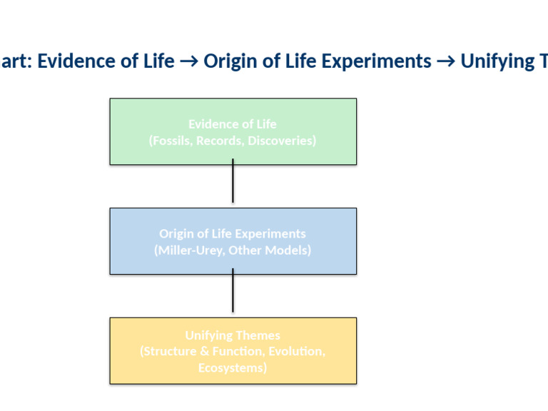 Evidence and Experiments on Life's Origin | PDF