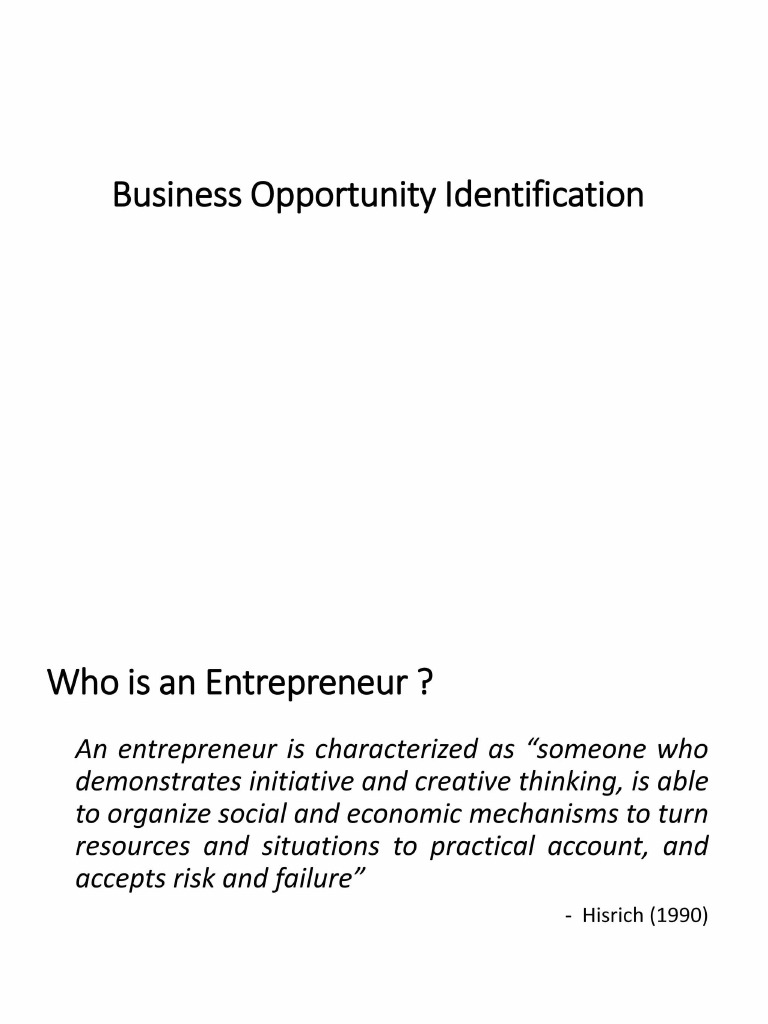 Group 3 Identification of Business Opportunities | PDF