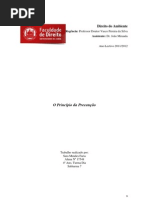 O Princípio da Precaução