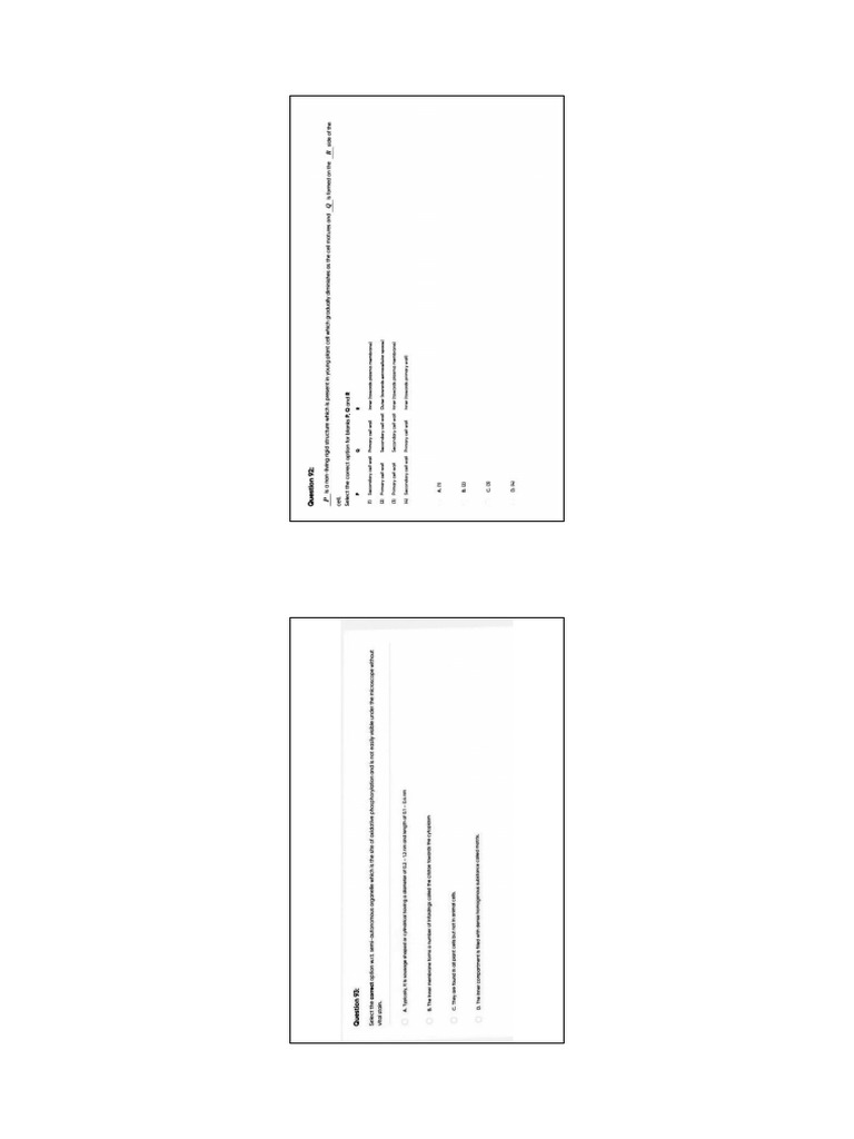 JC JC | PDF