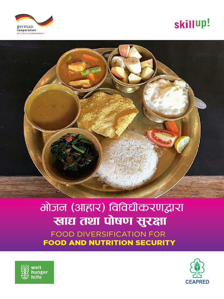 Food Diversification For Food Nutrition Diversity | PDF