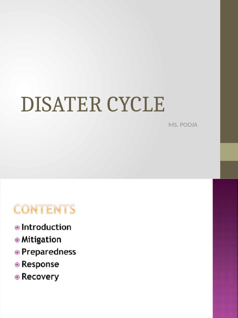 Disaster Cycle | PDF