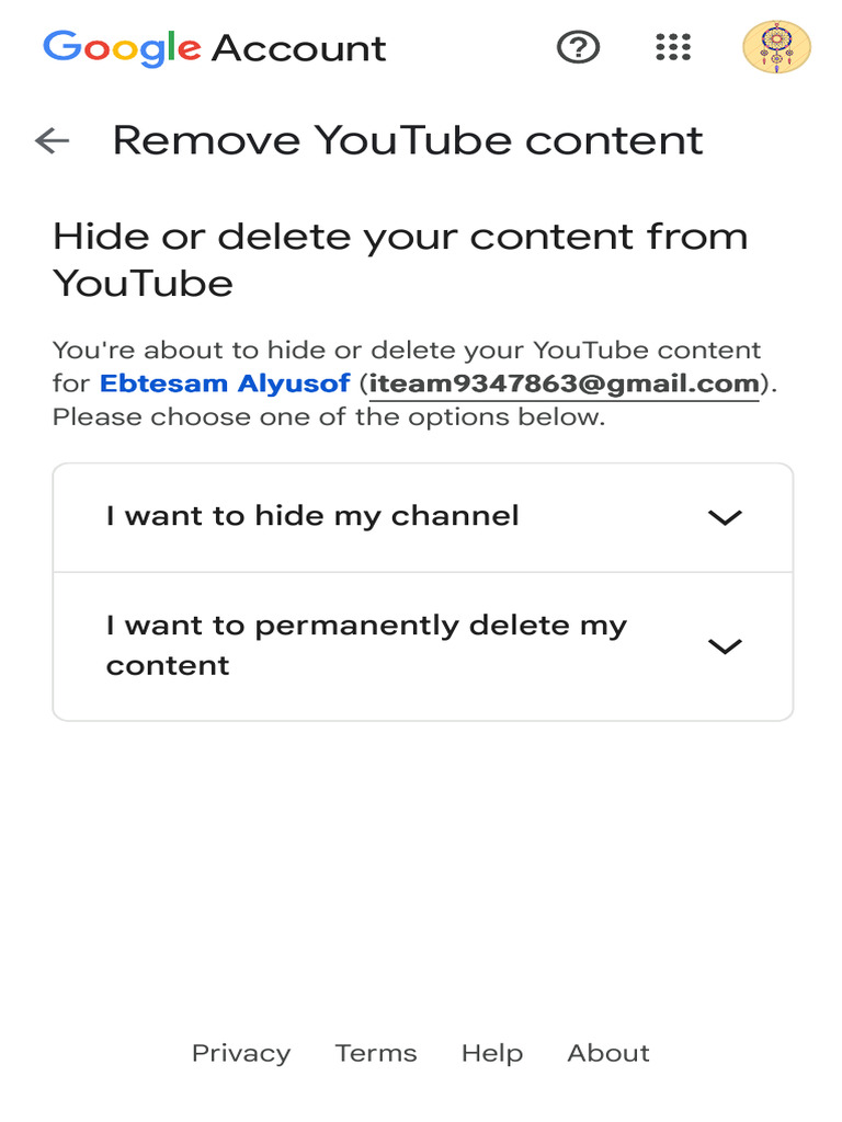Manage Your YouTube Content Options | PDF