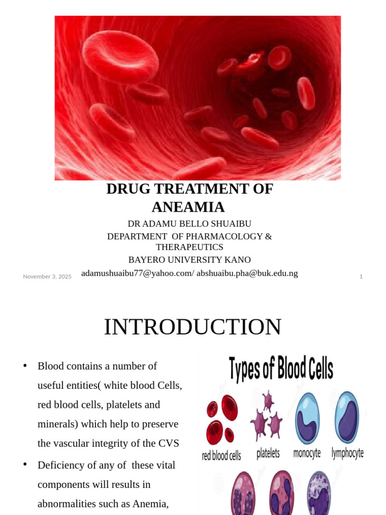 Drug Treatment for Anemia Explained | PDF | Vitamin B12 | Anemia