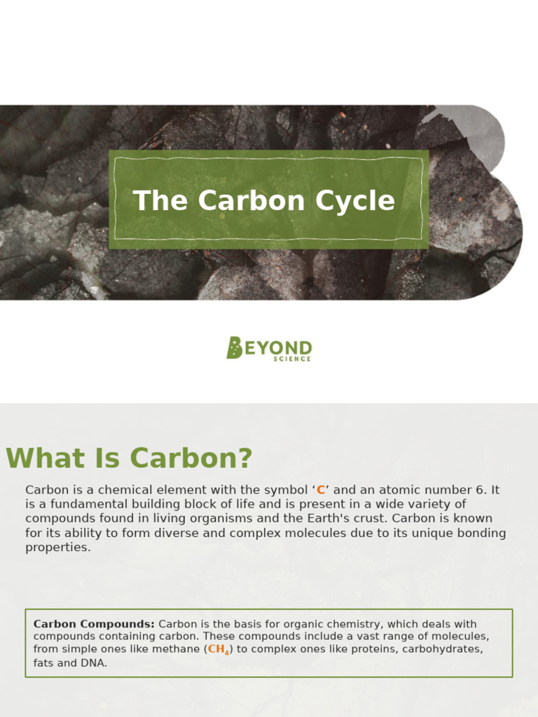Understanding the Carbon Cycle Explained | PDF | Cellular Respiration ...