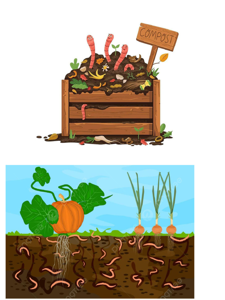 Ciclo para Niños Del Compostaje | PDF