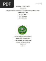 Download 75339748-MAKALAH-HAMIL-ANGGUR by Ibnu Masngut SN94238997 doc pdf