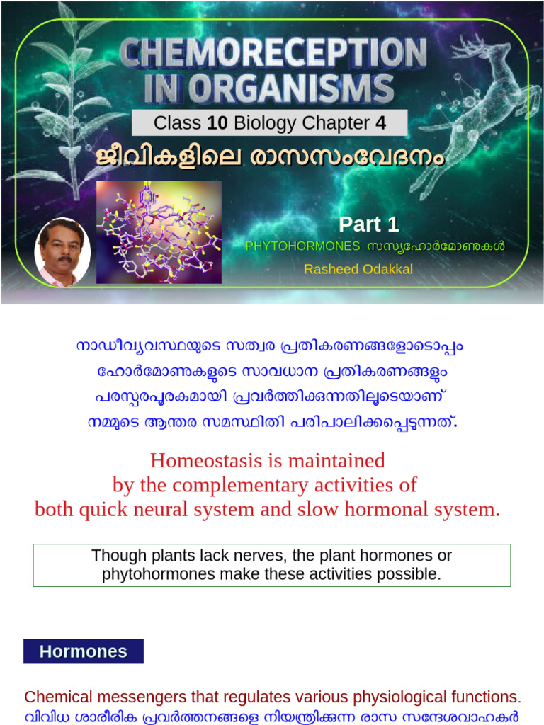 Part 1 of 3 SLIDES - Class 10 Biology Chapter 4 - Rasheed Odakkal | PDF