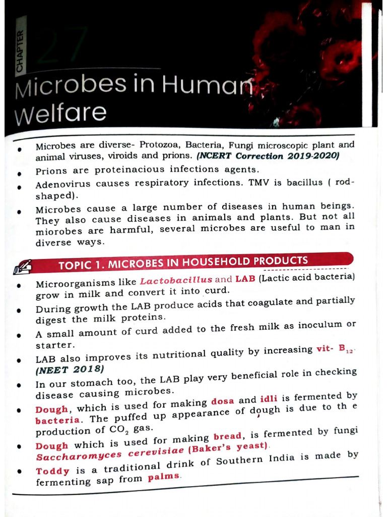 Document 170 | PDF