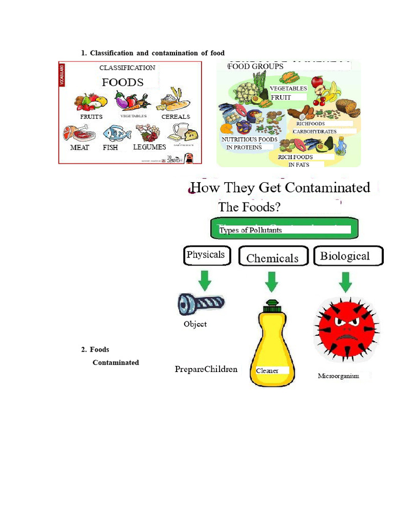 Food Contamination and Safety Guide | PDF | Decomposition | Foods