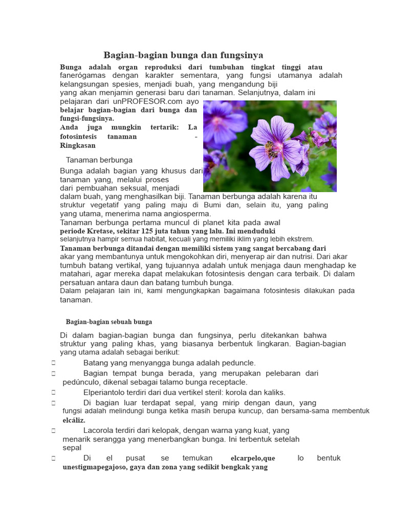 Bagian dan Fungsi Bunga dalam Reproduksi | PDF