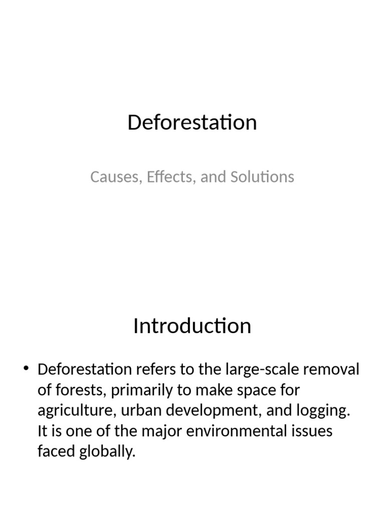 Deforestation Presentation | PDF