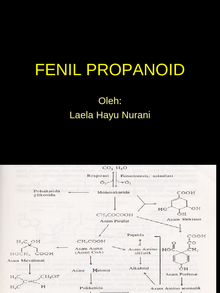 4. FENIL PROPANOID | PDF