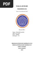 Download MAKALAH DIARE by IPutu Muhammad SN94249760 doc pdf