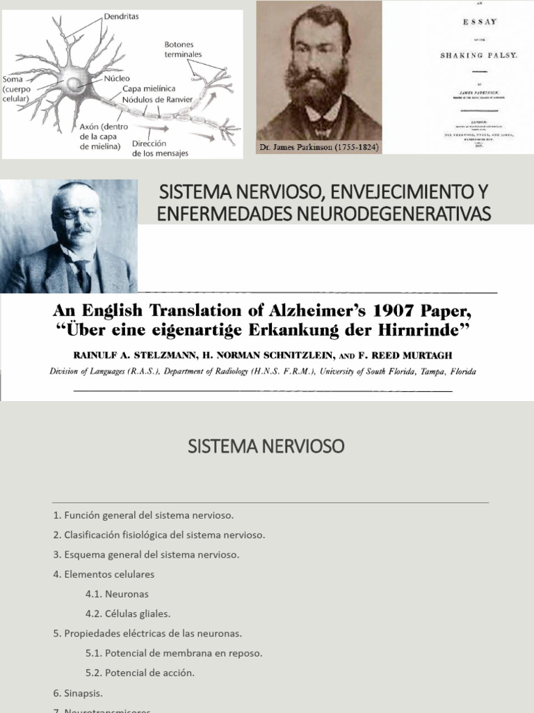 Biogerontología: Sistema Nervioso y Envejecimiento | PDF | Potencial de ...