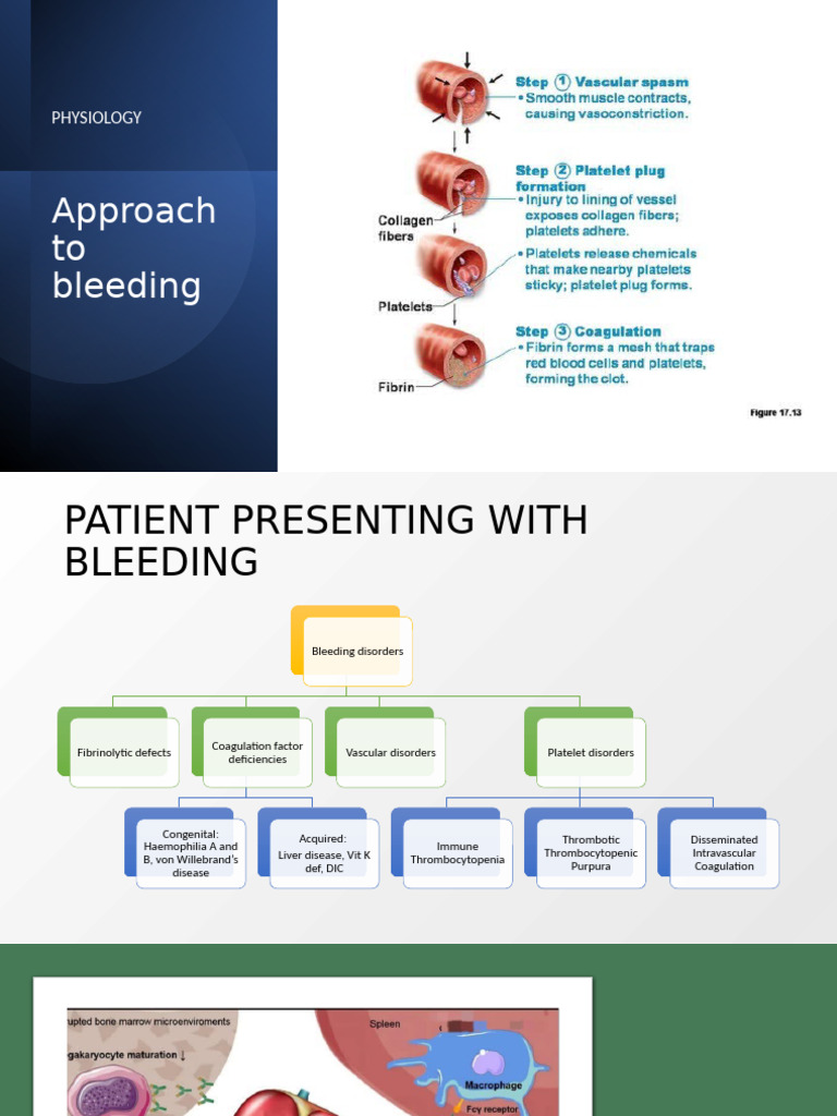 Understanding Idiopathic Thrombocytopenic Purpura | PDF | Platelet ...