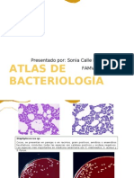 Atlas Bacteriologico.A