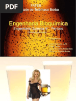 Cerveja apresentação