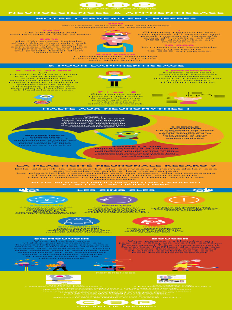 Neuroscience Et Apprentissage Infographie | PDF | Cerveau | Neurone