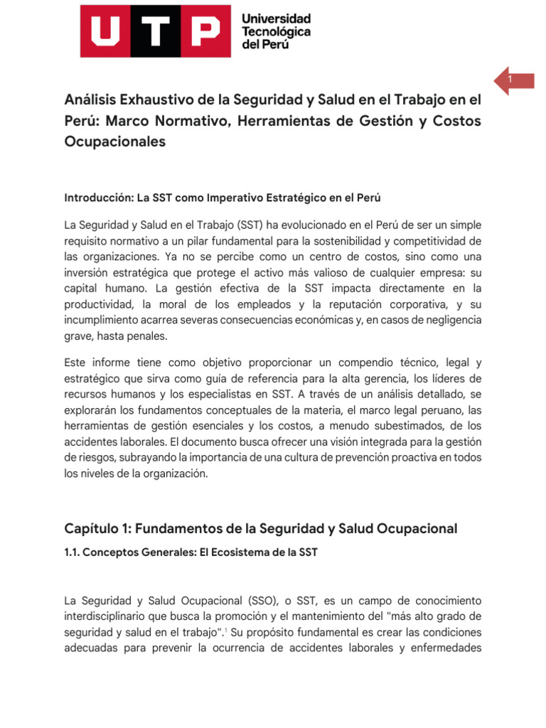 Seguridad y Salud en el Trabajo en Perú | PDF | Seguridad y salud ...