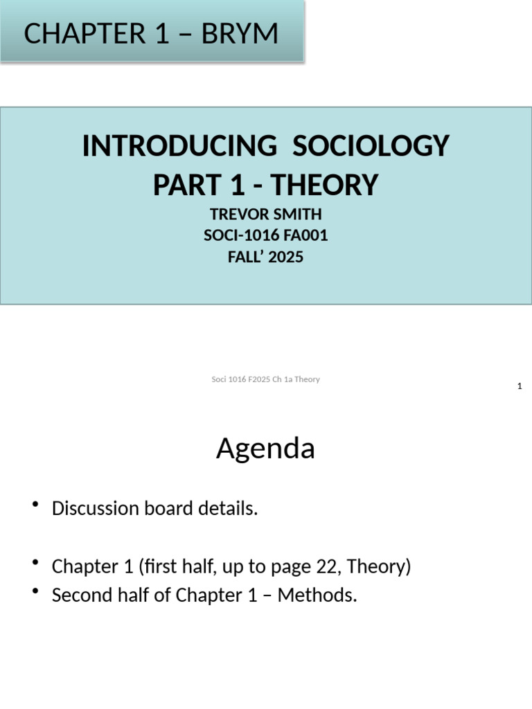 Introduction to Sociology Theories | PDF | Cost Of Living | Sociology
