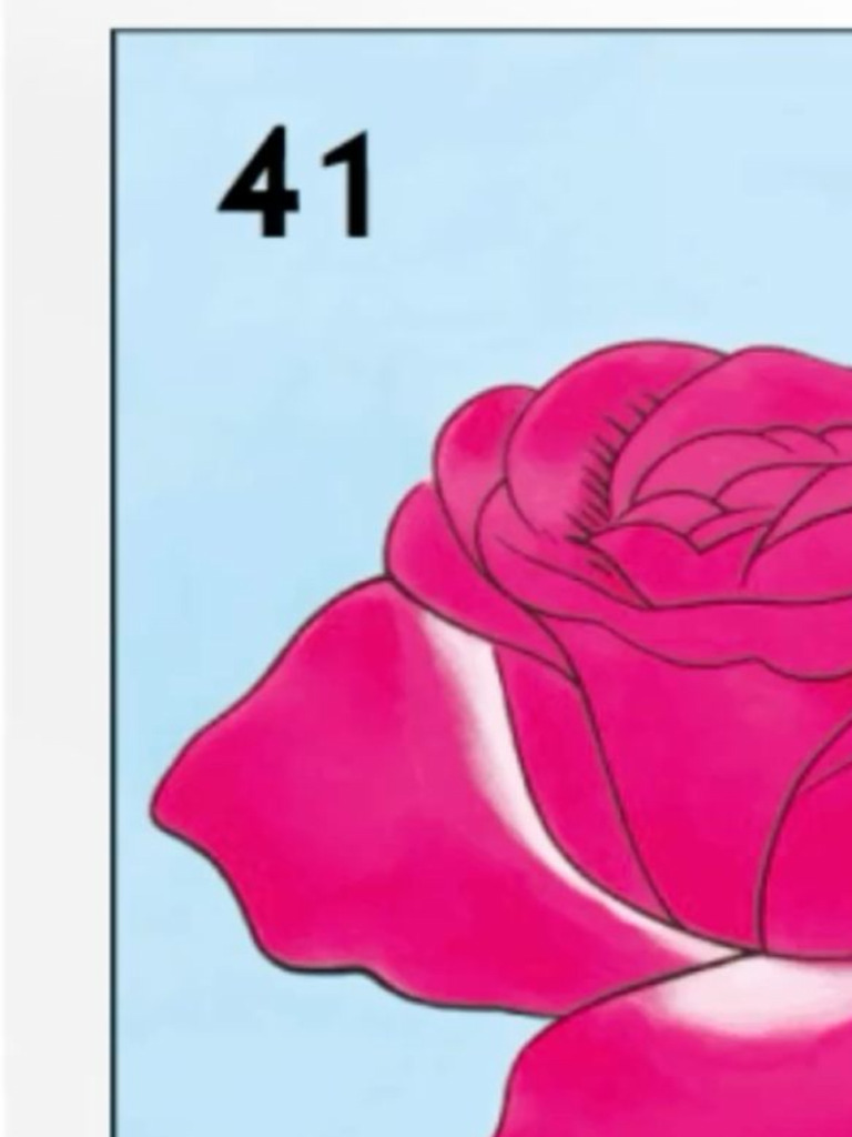 Rosa | PDF