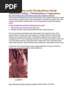 Download Fungsi Enzim Pada Metabolisme Tubuh Makhluk Hidup by MieLa Fahmida Shaista Nafisa SN94253954 doc pdf