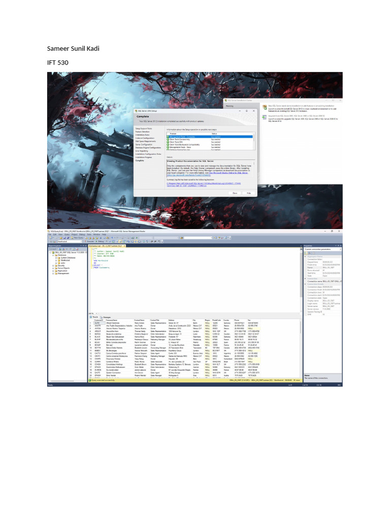 SQL Setup | PDF