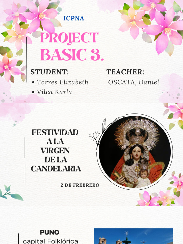 Project Basic 3 | PDF