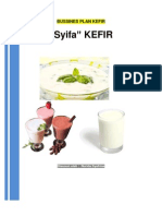 Business Plan Kefir