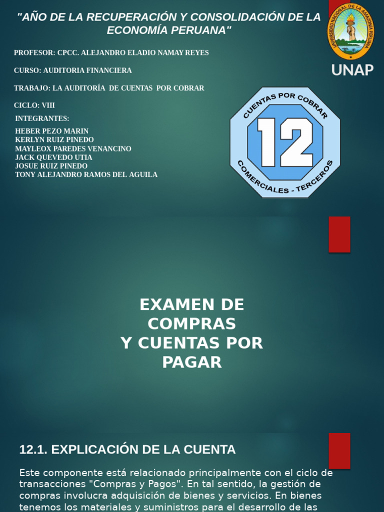 Auditoría de Compras y Cuentas por Pagar | PDF | Business | Economias