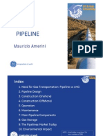 Pipelines - M. Amerini