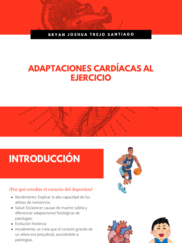 Adaptaciones Cardíacas en Atletas | PDF | Corazón | Enfermedades y ...