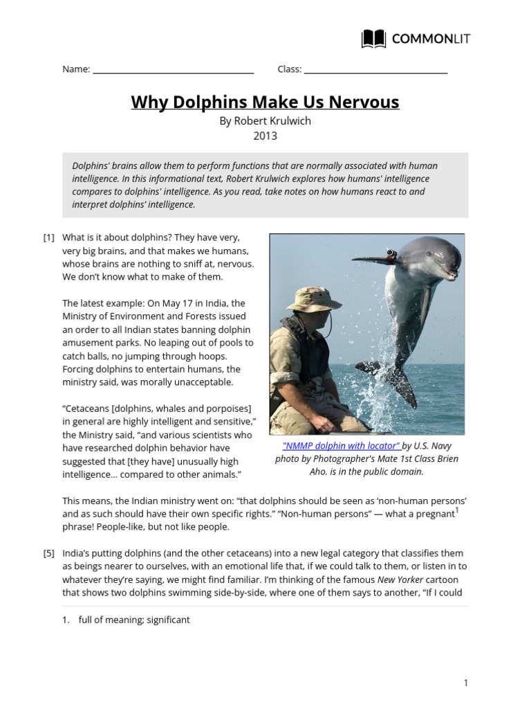 Understanding Dolphin Intelligence and Rights | PDF | Dolphin | Cetacea