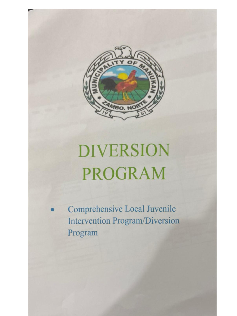 Comprehensive Local Juvenile Intervention Program - Diversion Program | PDF