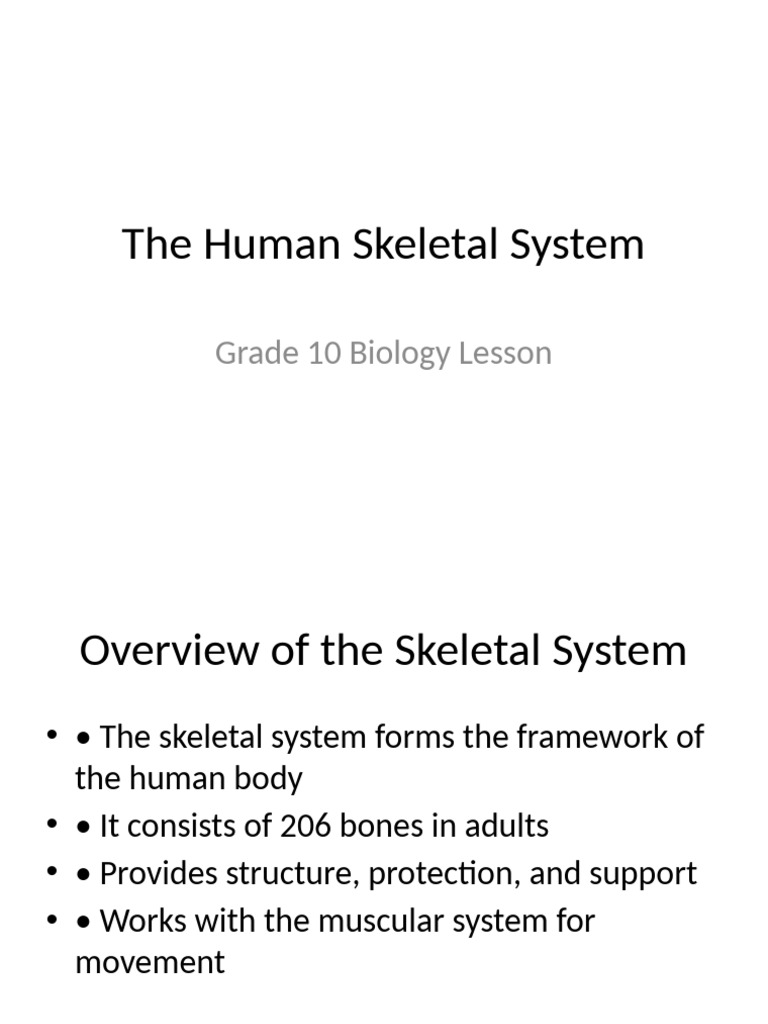 Skeletal System Presentation | PDF