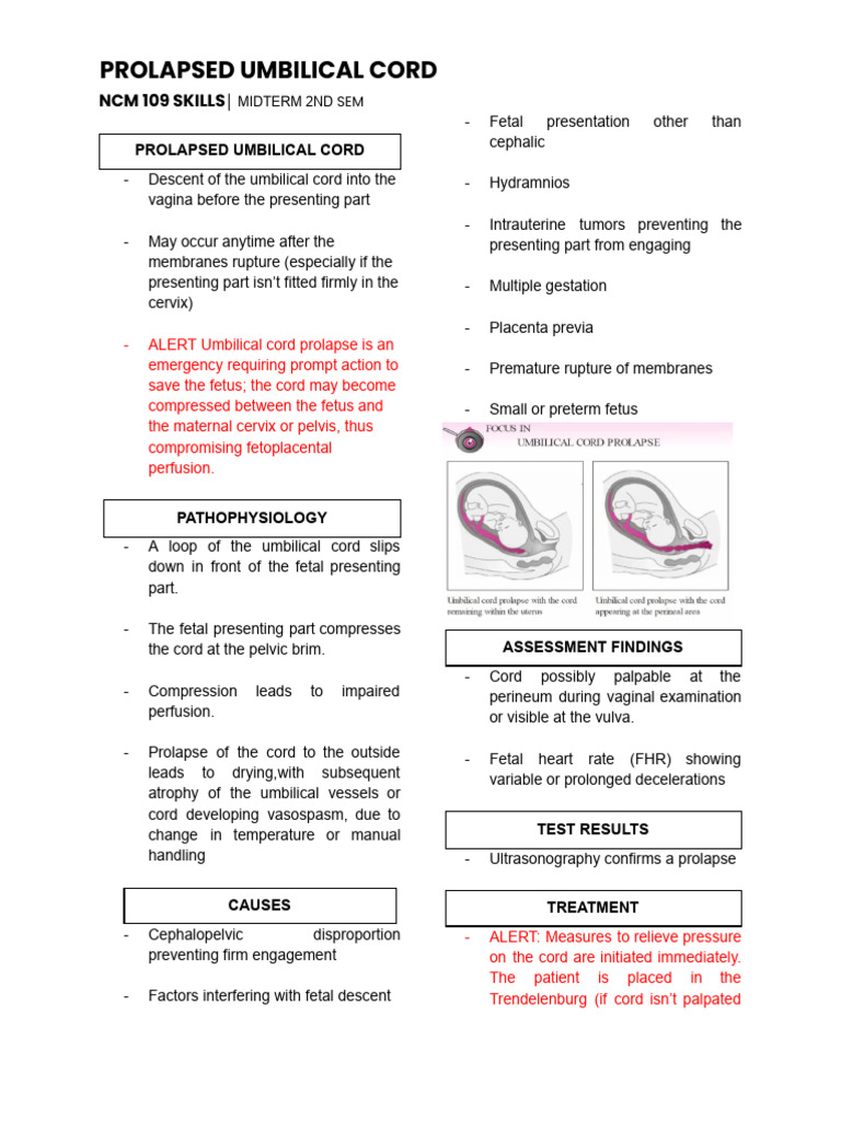 Prolapsed Umbilical Cord Overview | PDF | Childbirth | Fetus