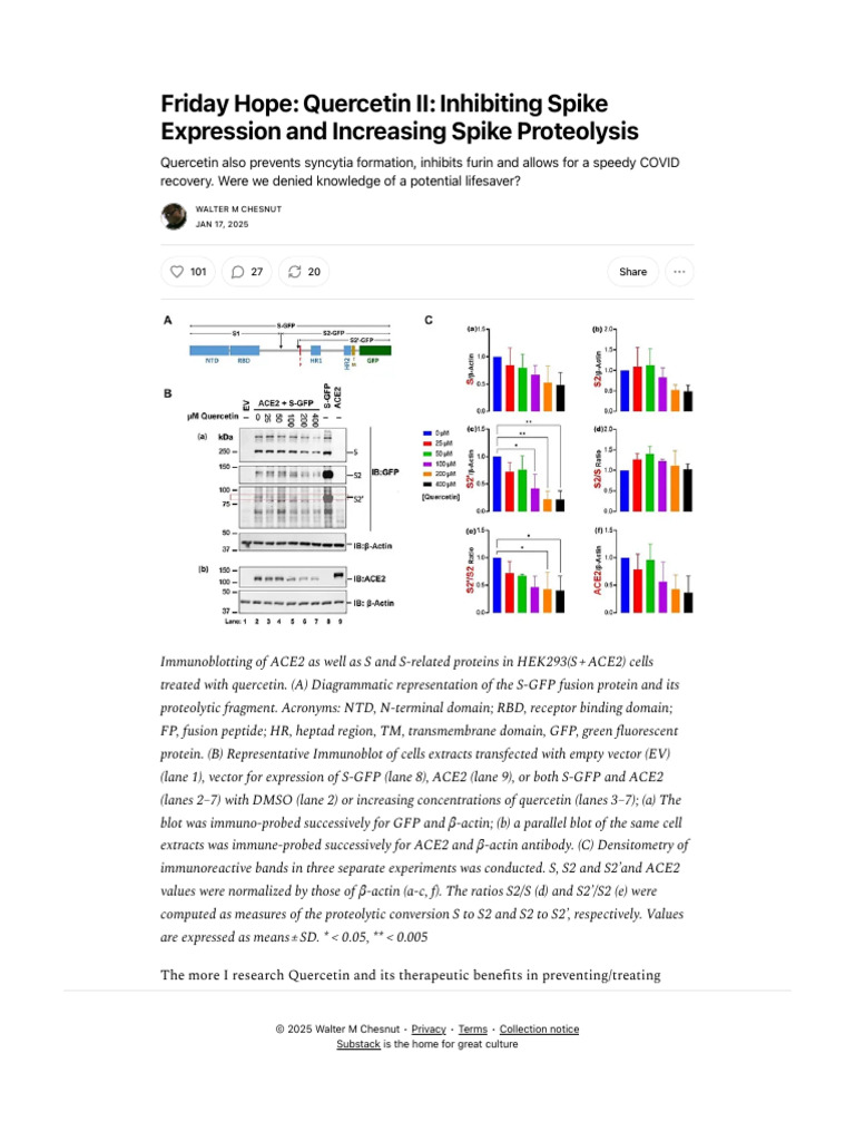 Quercetin's Role in COVID Recovery | PDF | Life Sciences | Structural ...