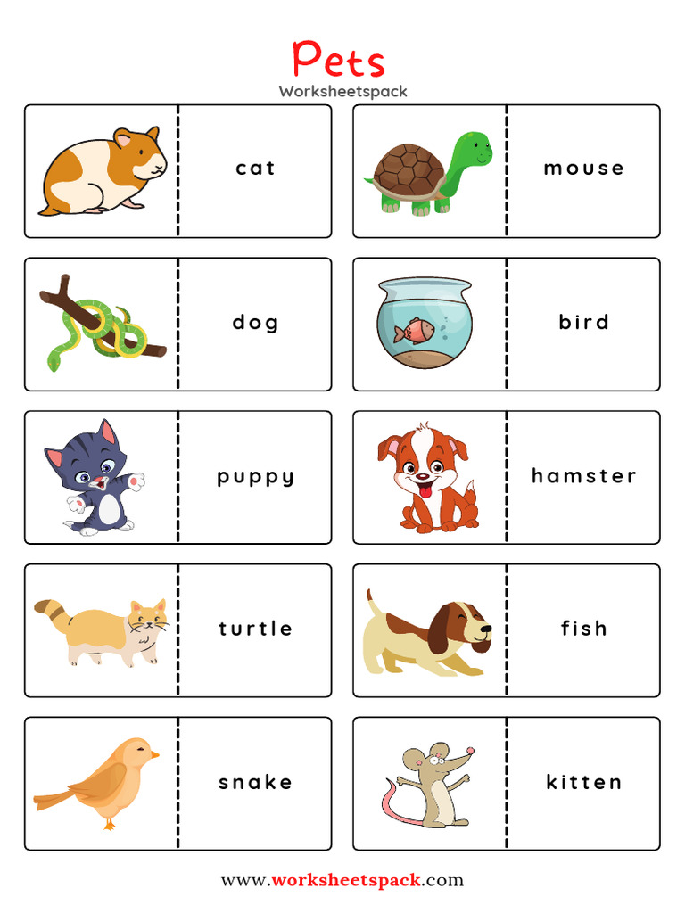 Pets Worksheet for Kids | PDF