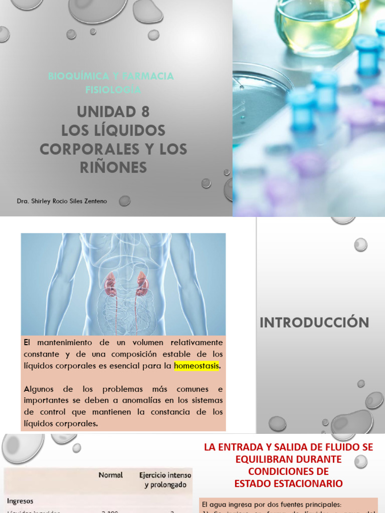 Líquidos Corporales y Función Renal | PDF | Riñón | Fisiología