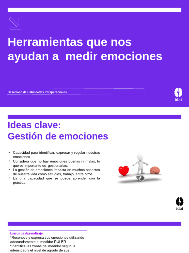 Desarrollo de Habilidades Emocionales | PDF | Las emociones | Aprendizaje
