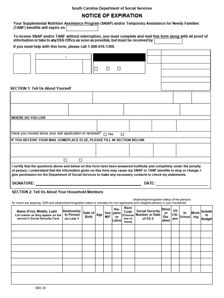 South Carolina DSS SNAP/TANF Renewal Form | PDF | Voter Registration ...