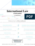 International Law Primer
