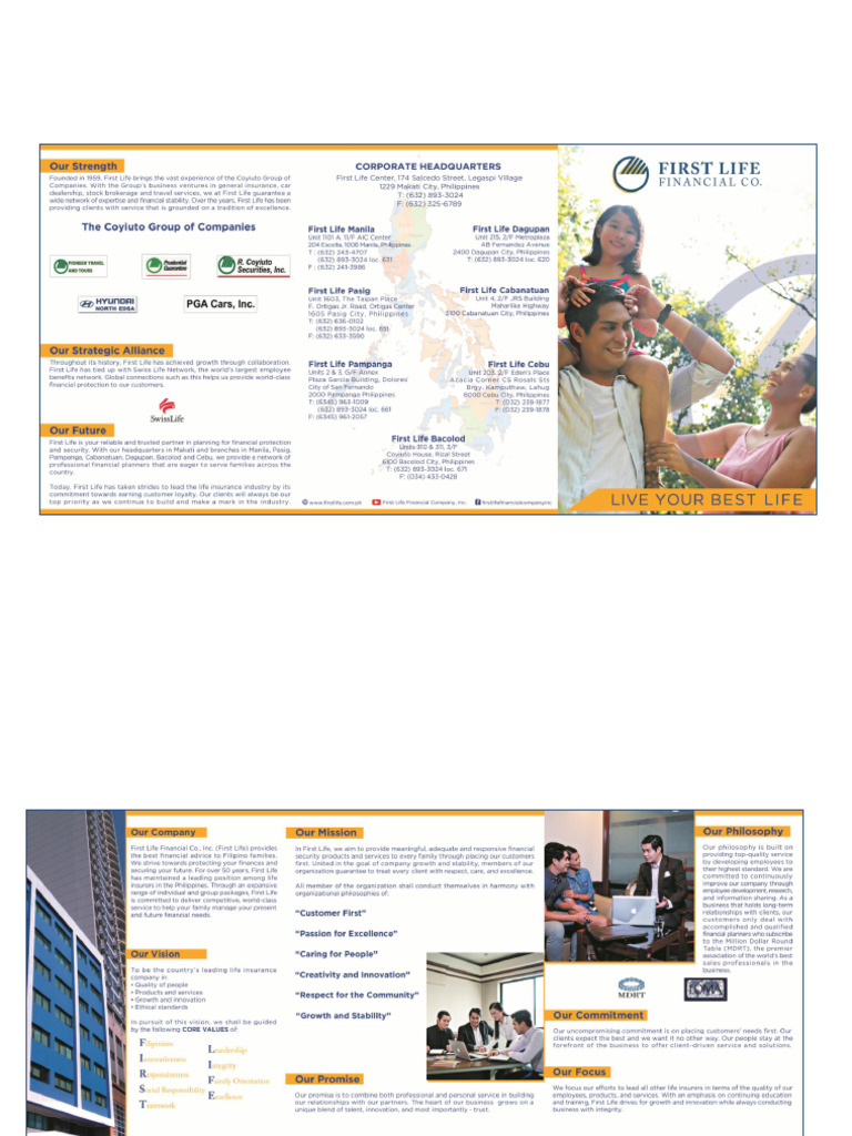 First Life Company Profile | PDF
